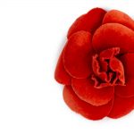 Red Velvet Camellia Brooch by Chanel - Le Dressing Monaco
